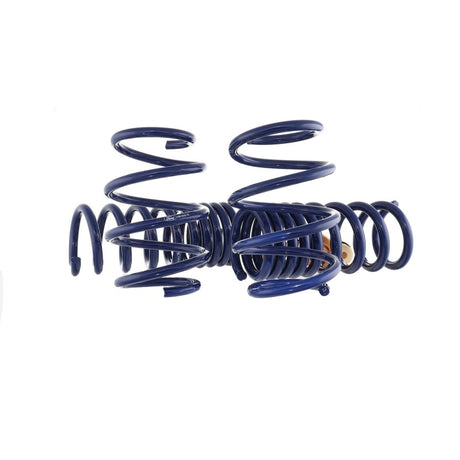 2015-2023 Mustang GT/2.3L EcoBoost Fastback Track Lowering Spring Kit (Excl MagneRide Susp) - View 11 | Dirty Garage