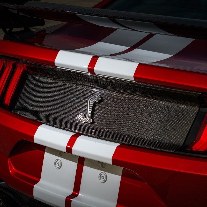 2020-2022 Mustang GT500 Deck Lid Trim Panel - View 8 | Dirty Garage