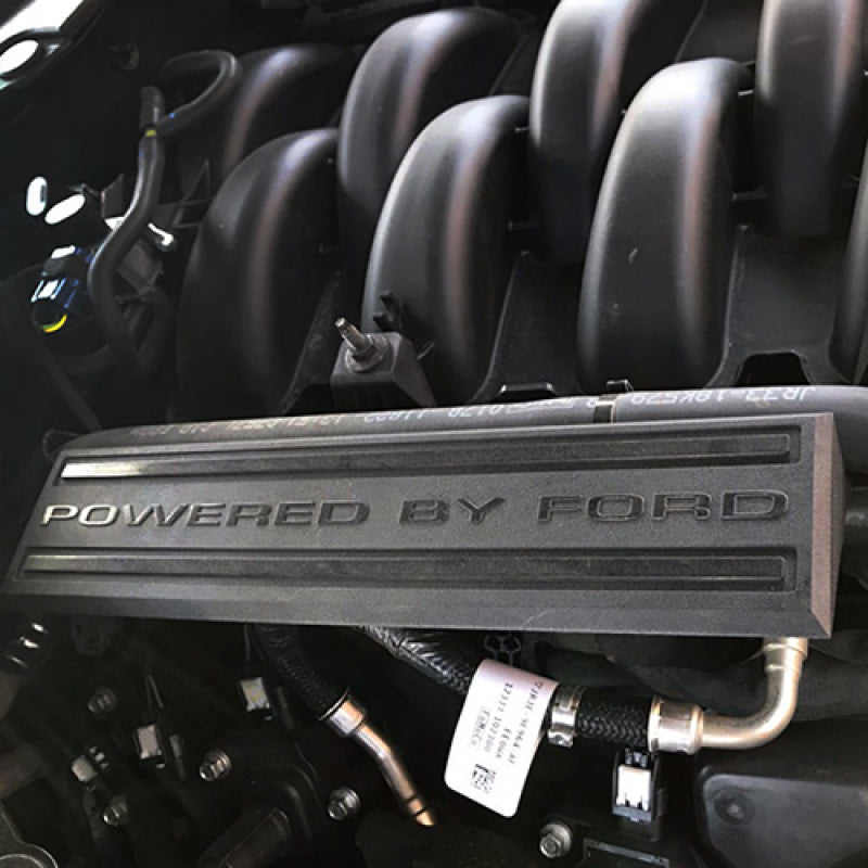 2018-2019 Coyote 5.0L TiVCT Intake Manifold Dress Up Kit | Dirty Garage
