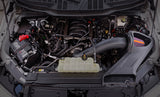 2015-2020 Ford F150 V8-5.0 L Performance Air Intake System - View 2 | Dirty Garage