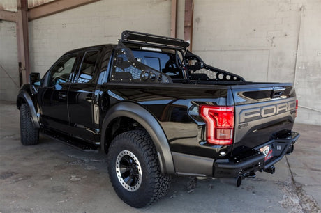 2017-2018 F-150 Raptor Race Series Chase Rack 2017 Grill Pattern - View 2 | Dirty Garage