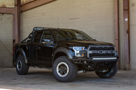 2017-2018 F-150 Raptor Race Series Chase Rack 2017 Grill Pattern - View 3 | Dirty Garage