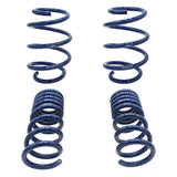 2015-2017 Mustang GT350 Lowering Springs - View 17 | Dirty Garage