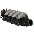 2018-2021 Gen 3 5.0L Coyote Intake Manifold | Dirty Garage